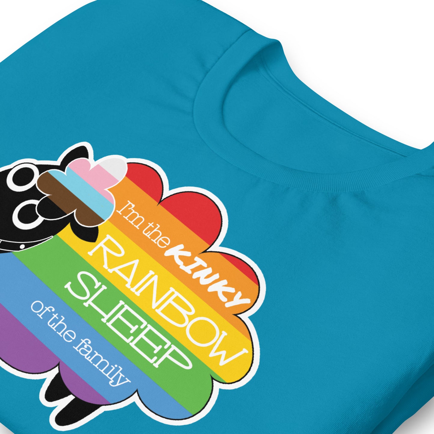 Kinky Rainbow Sheep T-Shirt