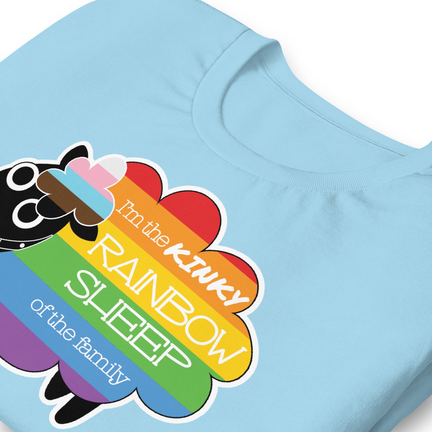 Kinky Rainbow Sheep T-Shirt