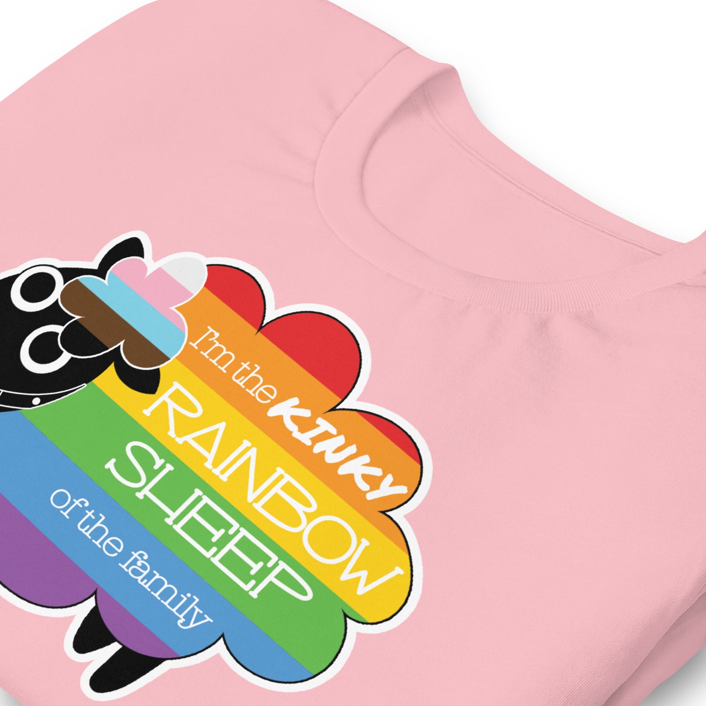 Kinky Rainbow Sheep T-Shirt